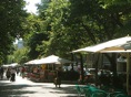 DSC07176.JPG