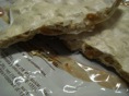 DSC08353.JPG