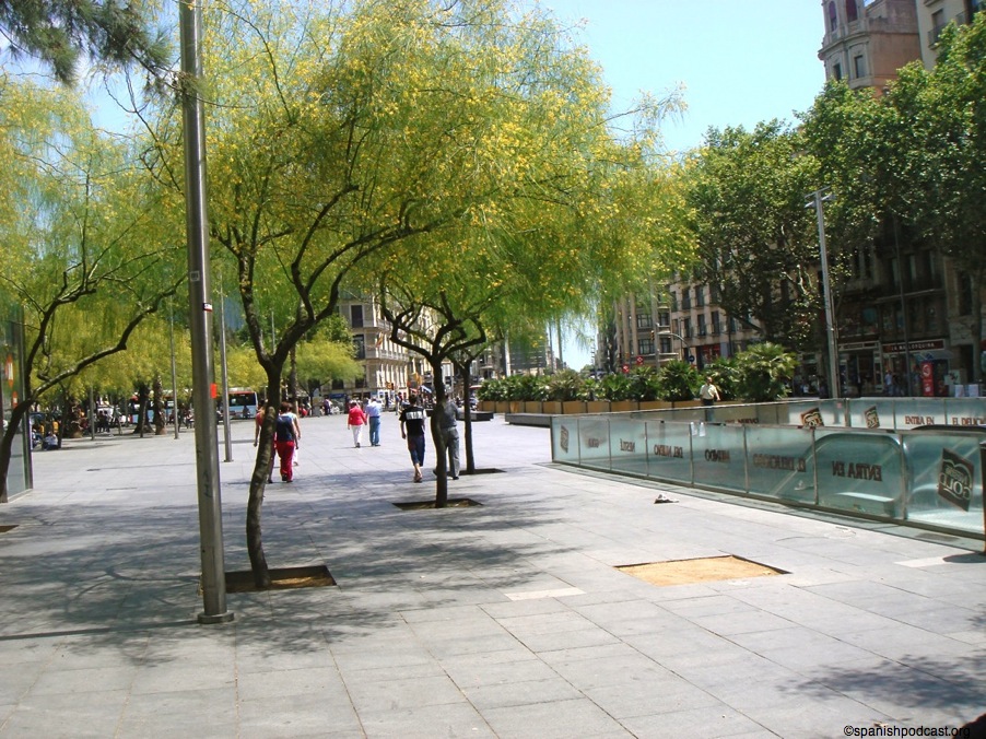 DSC06415.JPG