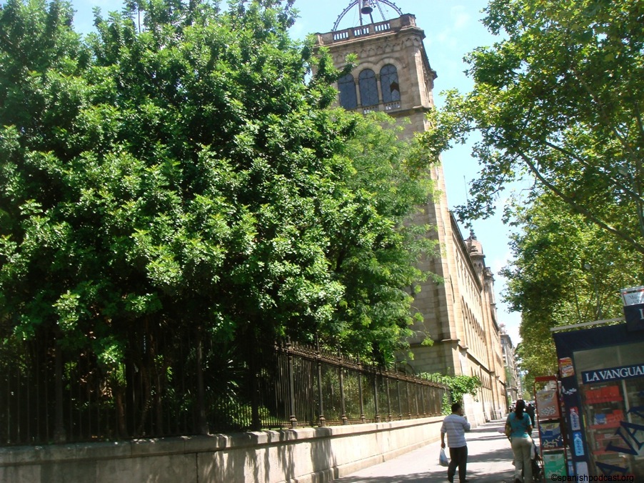 DSC06417.JPG