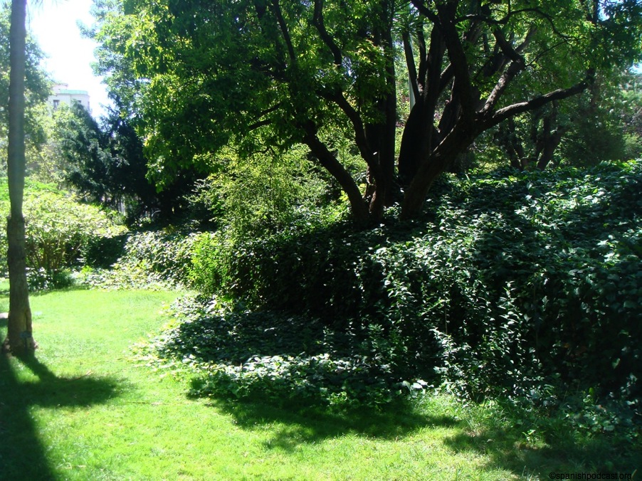 DSC06435.JPG