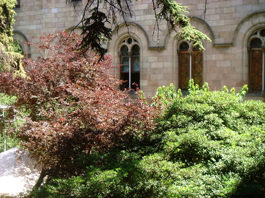 DSC06450.JPG