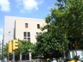 DSC06416.JPG