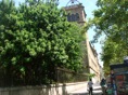 DSC06417.JPG