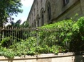 DSC06422.JPG