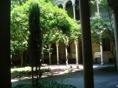 DSC06430.JPG