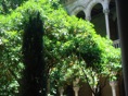 DSC06431.JPG