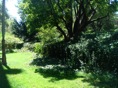 DSC06435.JPG