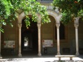 DSC06436.JPG