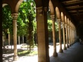 DSC06437.JPG