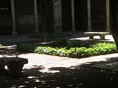 DSC06438.JPG