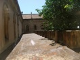 DSC06440.JPG