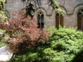 DSC06450.JPG