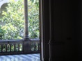 DSC06459.JPG