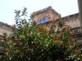 DSC06461.JPG
