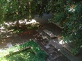 DSC06462.JPG