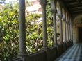DSC06467.JPG