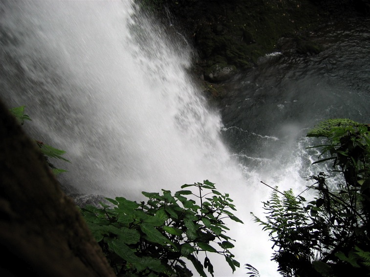 catarata