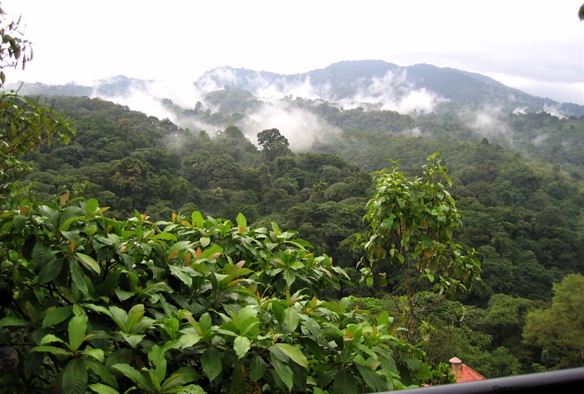 en la montaña, nubes