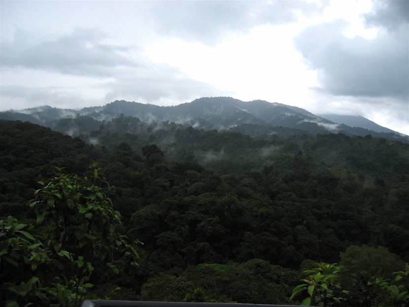 montaña, naturaleza.