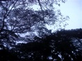El gris del cielo con la torm