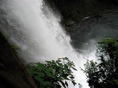 catarata