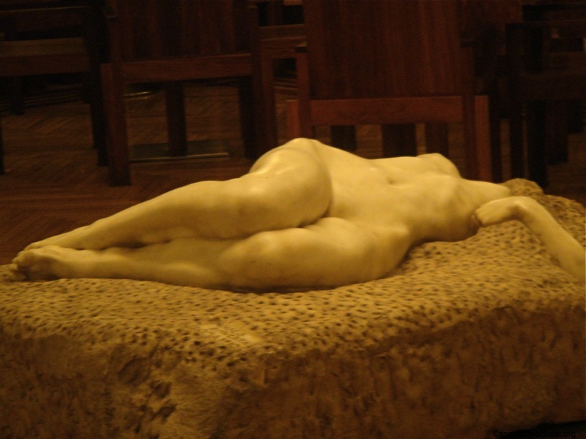DSC07853.JPG