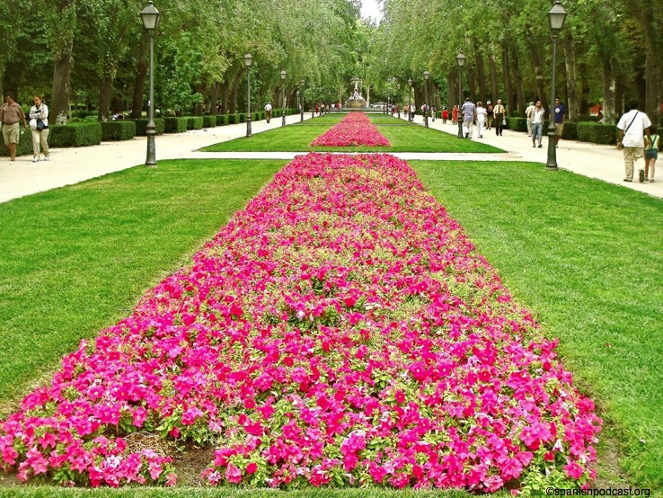 alfombra de flores