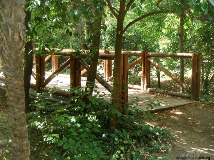paseos puente