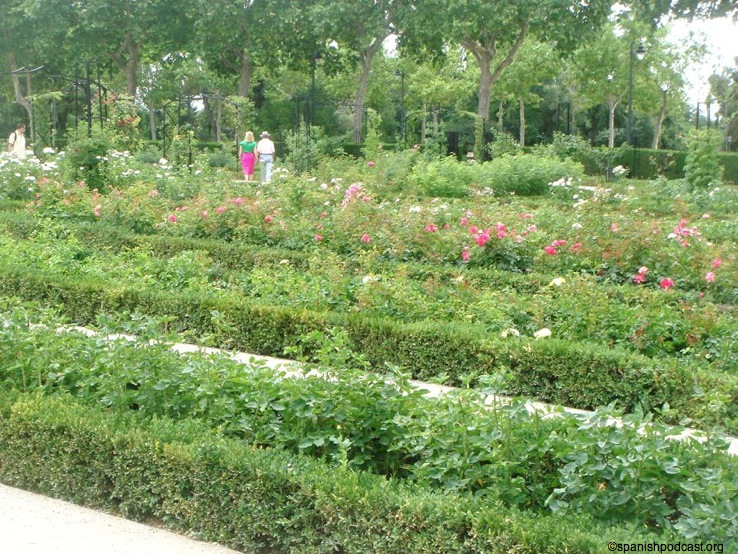 rosedal 2
