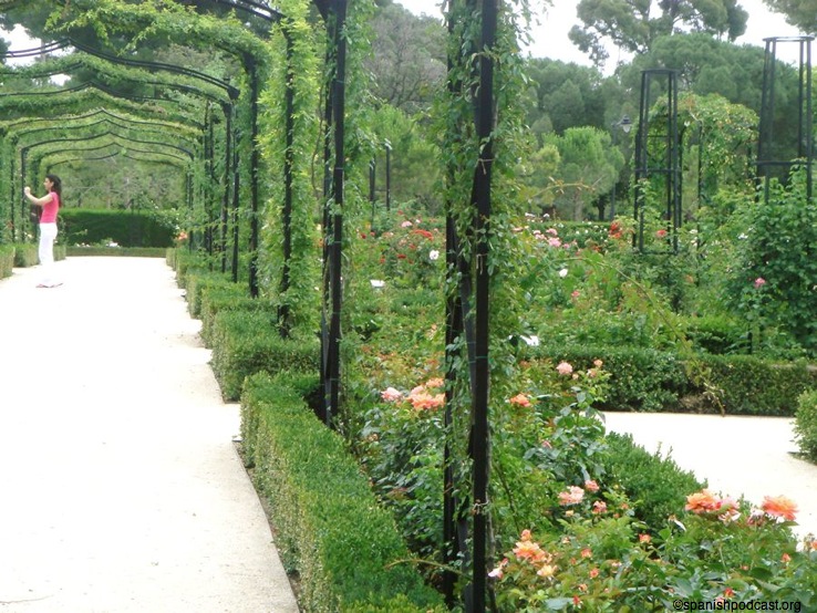 rosedal 4