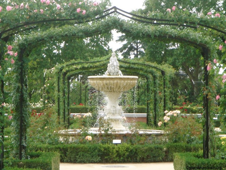 rosedal 6