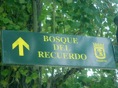 bosque del recuerdo