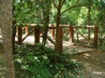 paseos puente