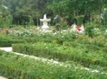 rosedal