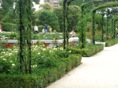 rosedal 3