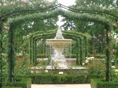 rosedal 6