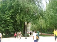 uno de los paseos