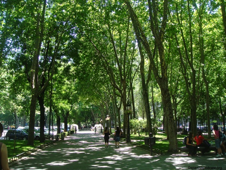 DSC06073.JPG