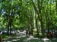 DSC06073.JPG