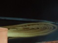 15a