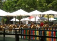 DSC05894.JPG
