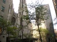 catedral en la 5ª
