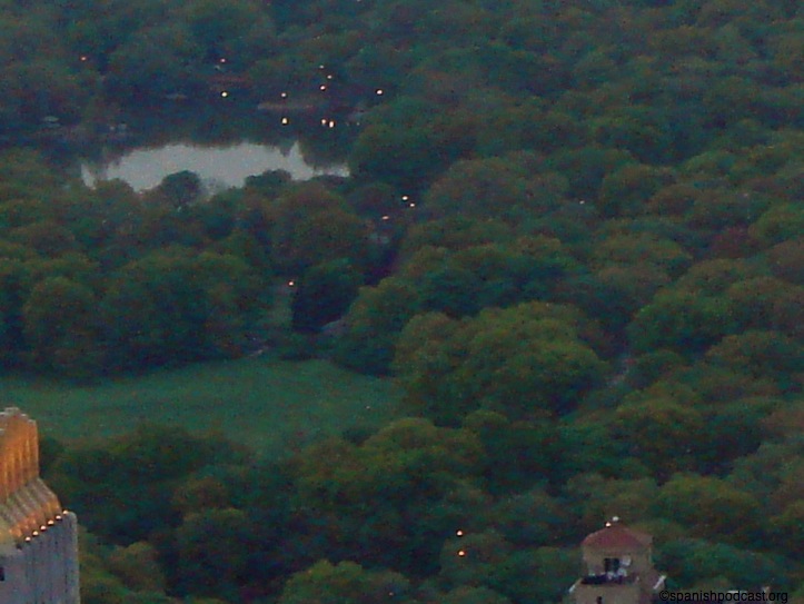 luces en central park
