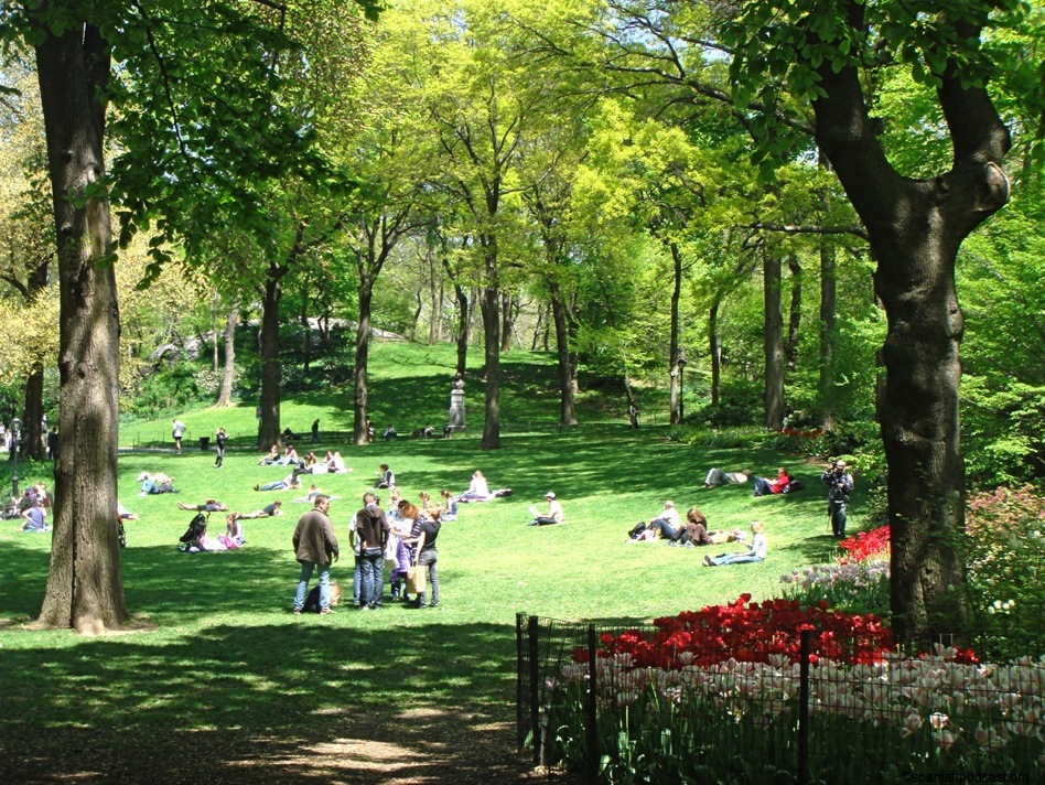 central park 1