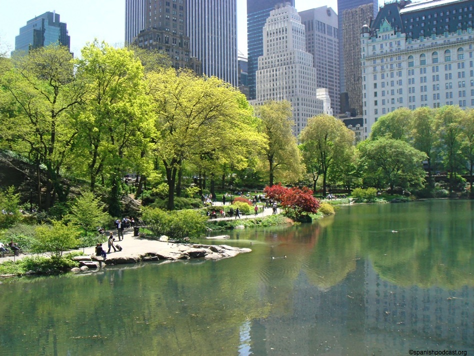 central park 5