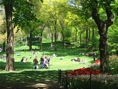 central park 1