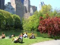 central park 3