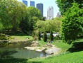 central park 4