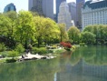 central park 5